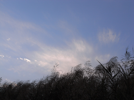 20120922-2.JPG