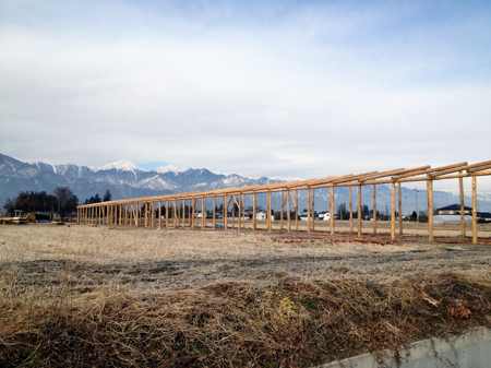 20130112-9.JPG