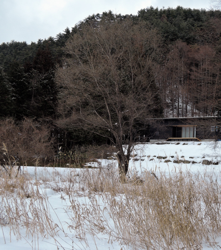 DSCN6995.JPG