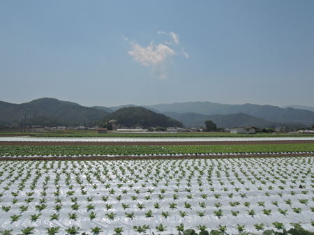 DSCN9944.JPG