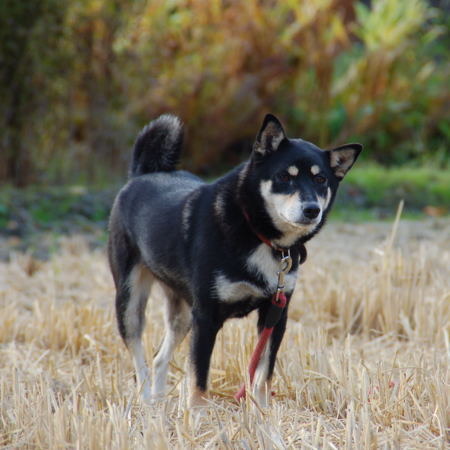 DSC_0010.JPG