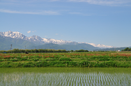 DSC_0142.jpg