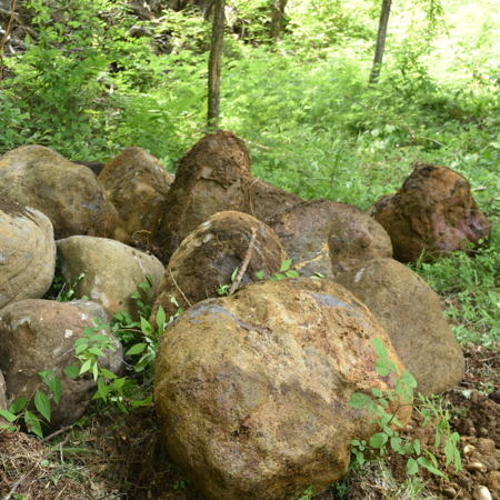 DSC_2558.JPG