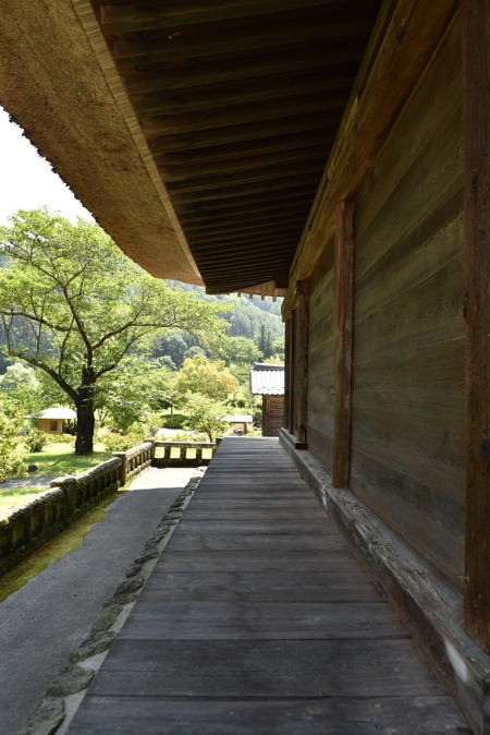DSC_3585.JPG