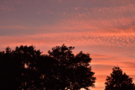 DSC_3887_00001.jpg