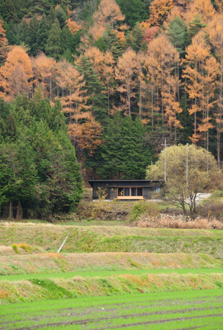 DSC_5100.jpg