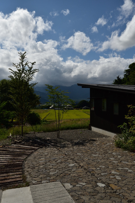 DSC_5912_00010.jpg