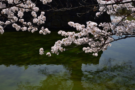 DSC_6354_00001.jpg