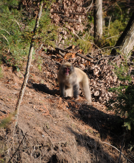 DSC_6630.JPG