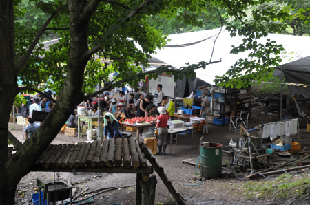 DSC_8544.JPG