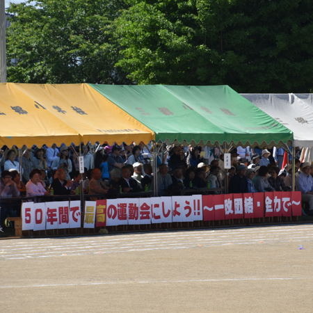 DSC_9263.JPG